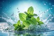 © beng - refreshing water with mint leaves