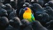 © Nick Freund - Symbolstarkes Bildkonzept: Bunter Kanarienvogel in Regenbogenfarben, umgeben von schwarzen Kr√§hen. Einzigartigkeit inmitten von Konformit√§t. Metapher f√ºr Individualit√§t und Anderssein