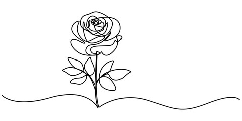Fototapete - Continuous one line drawing of rose flower vector illustration. Premium vector, Flower in continuous line art drawing style. Rose flower minimalist black linear design isolated on white background.