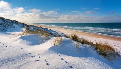 Wall Mural - serene winter beach view with snowy sand dunes leading to the tranquil ocean on a sunny day