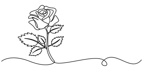 Fototapete - Continuous one line drawing of rose flower vector illustration. Premium vector, Flower in continuous line art drawing style. Rose flower minimalist black linear design isolated on white background.