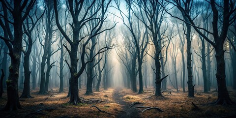 Wall Mural - Creepy dark forest with dry trees created using depth of field technique