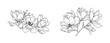 © abcvector - Magnolia flower arrangement line art on white background. Silhouette magnolia botanical hand drawn element for wedding, invitation frame design, vector illustration