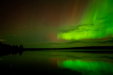 Wall Mural - the big dipper in a night sky with bright green aurora above a calm lake reflection