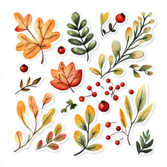 Wall Mural - A playful watercolor illustration set of autumn leaves in various shapes, paired with red berries and flowers. The cute sticker-style design on a white background adds a festive fall touch to crafts,