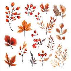 Wall Mural - A whimsical watercolor set featuring autumn leaves, clusters of red berries, and delicate fall flowers, designed in a sticker format. The cute illustrations on a white background are ideal for