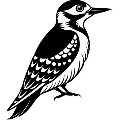 Woodpecker face logo vector illustration on white background