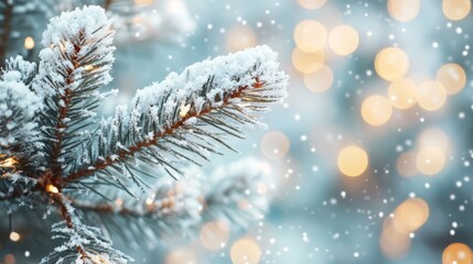 Poster - Snow-covered pine branch with festive lights. Perfect for Merry Christmas and happy New Year backgrounds.