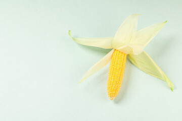 Wall Mural - Fresh ripe corncob with green husks on light background. Space for text