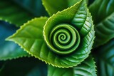 The spiral formation of a tea leaf stands out among lush green leaves, showcasing nature's intricate patterns and textures in bright light. Generative AI