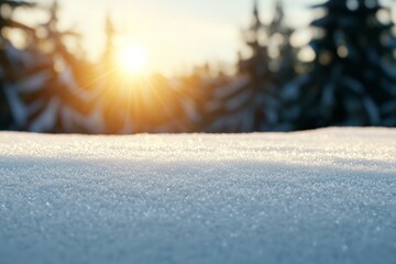 Canvas Print - A snow covered field with a bright sun shining through the trees