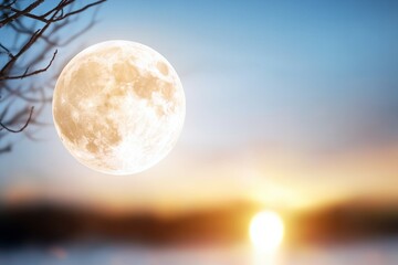 Wall Mural - a large, bright moon is shining in the sky above a calm body of water