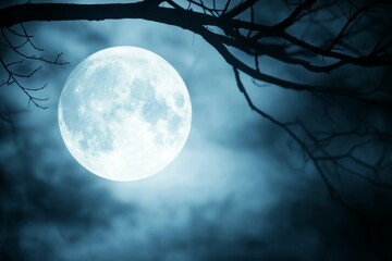 Wall Mural - a large blue moon is shining in the sky above a dark forest
