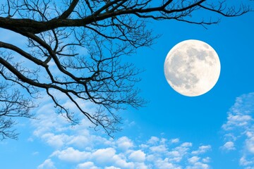 Poster - A large white moon is in the sky above a blue sky