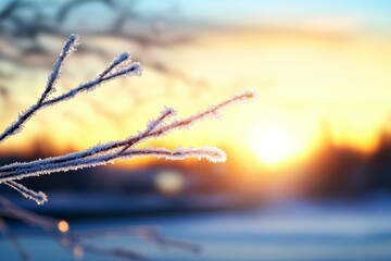 Sticker - A branch covered in frost and snow with a bright orange sun in the background