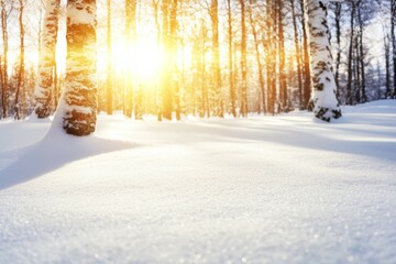 Wall Mural - A tree is in the foreground of a snowy field