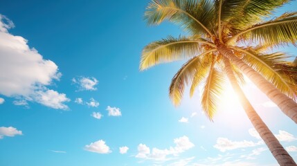 A magnificent palm tree stands tall against a picturesque blue sky dotted with clouds, bathed in bright sunlight, symbolizing tropical elegance and serenity.