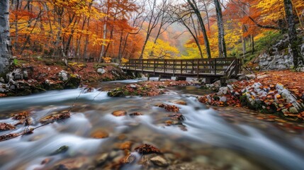 Canvas Print - Autumn Forest Stream