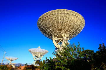 Wall Mural - the observatory radio telescope