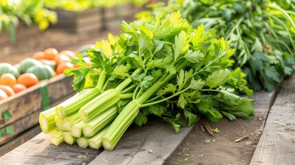 Poster - Freshly Harvested Celery