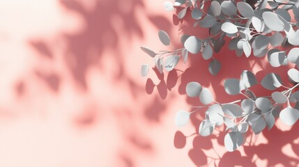 Wall Mural - A minimalist composition featuring light foliage casting shadows on a soft pink background.