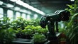 © Sandra - 'Futuristic Hydroponic Farm: Robotic Arm Cultivating Vibrant Green Plants'