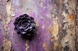 © suchetpong - Elegant antique black camellia flower charm reflected on weathered purple wall
