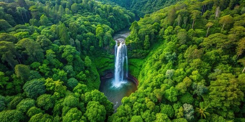 Wall Mural - Forest waterfall scene with lush greenery from aerial view