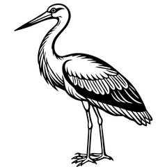 stork on a white background