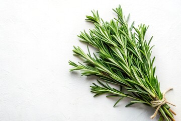 Fresh rosemary herb on white background