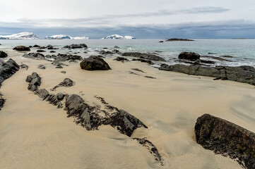 A sandy beach with dark rocks and seaweed, overlooking the ocean on a cloudy day