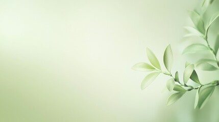 Poster - Graceful green leaves on a delicate branch against a vibrant backdrop, evoking freshness and tranquility. Ideal for serene, peaceful designs related to wellness, ecology, and organic living