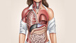 © CreativePulse - Anatomical illustration of female torso showcasing detailed internal organs, muscles, and systems. This educational artwork highlights complexity of human anatomy
