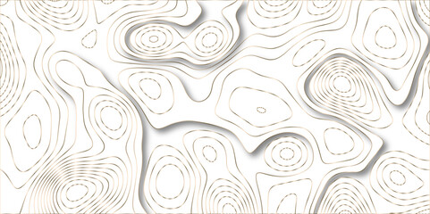 Poster - Abstract white colorful gradient Topographic line map background. Contour elevation topographic and textured Background Modern design with White background with topographic wavy pate for decoration.	