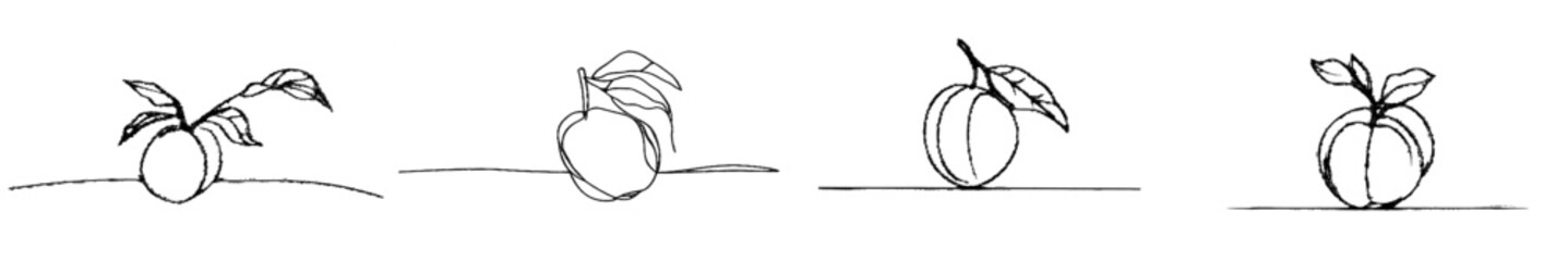 Leinwandbilder - Continuous line drawing of plums on a white background in a modern style.