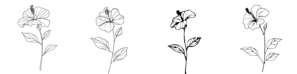 Wall Mural - A modern illustration of a hibiscus flower in one line art style on a white background, illustrating the flower in black lines.