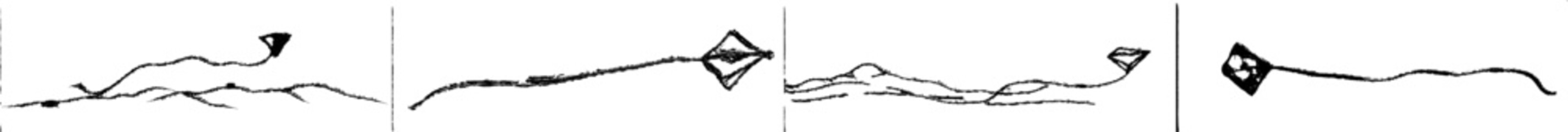 Poster - The envelope is illustrated in one line. Continuous line depicting the envelope being opened. New e-mail message sent.