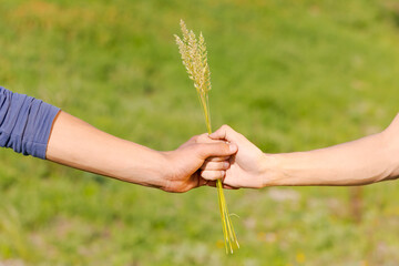 Two people holding hands and a flower