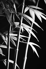 Bamboo Palm. Elegance in Floral Design with Botanical Tropics