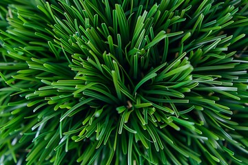 Top view of artificial green grass texture background