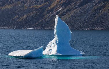 View of montains and icebergs from Uunartoq island (South Greenland)