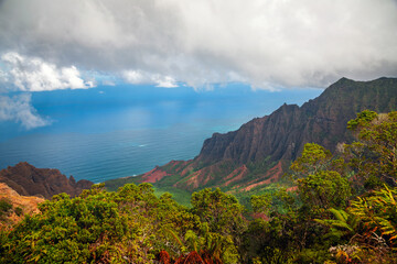 Wall Mural - Kalalau lookout above the Napali coast cliffs on Kauai island, Hawaii