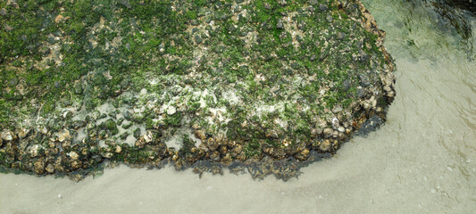 Texture stone moss shell sand sea cement water reflection wave foam fish shine boat bird tree leaf landscape cloud sky house building wires wiring street neighborhood city hill mountain cliff