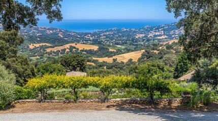 Wall Mural - A stunning outdoor landscape with soft hills and an expansive ocean view, stretching out to the horizon under a cloudless sky.