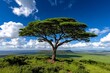 © Thanyarat - Ngorongoro Crater in Tanzania, with its lush green floor and abundant wildlife, viewed from the rim of the crater