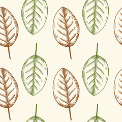 Wall Mural - Vector seamless pattern with engraved tobacco leaves, floral rapport. Hand drawn repeating background with weed plants for print, paper, wrapping, card, textile, label, design. Botanical illustration