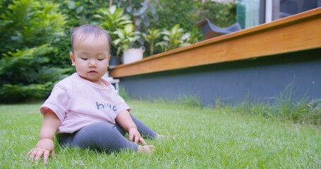 Wall Mural - Adorable Baby Exploring Lush Green nature Lawn in a Sunny Garden, Capturing the Joy discovery and Curiosity of Childhood growth and outdoor play in a Natural Outdoor Environment