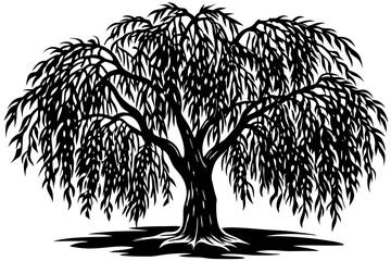 Wall Mural - Silhouette detached tree willow with leaves on a white background