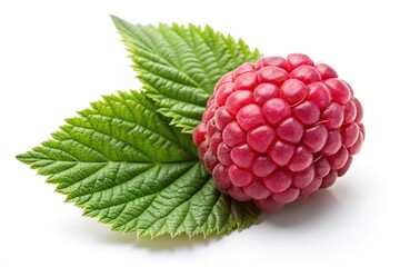 Wall Mural - Raspberry with leaves pattern on white Isolated Medium Shot