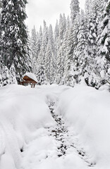 Wall Mural - winter landscape, snow-covered winter creek and wooden gazebo in fir forest in snow